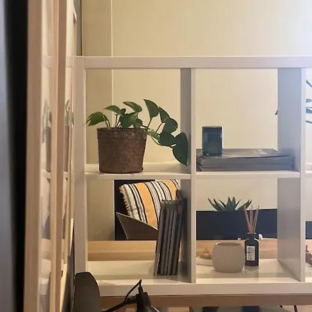 Modern Lux Downtown